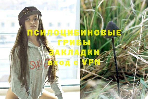 spice Белоозёрский