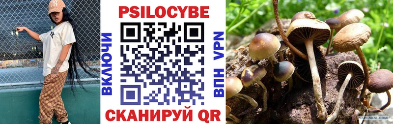 Галлюциногенные грибы Psilocybine cubensis  Купить закладки  Монино 